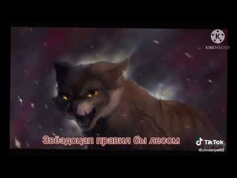Видео: Огнезвёзд из тик тока