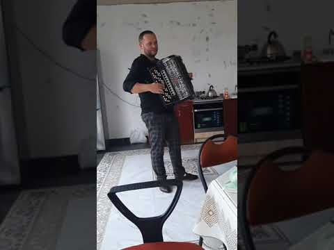 Видео: Цыган играет душевно 👍