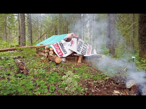 Видео: Строительство промысловой избы в лесу. Жизнь в тайге.