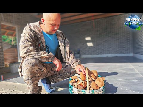 Видео: На лесном хуторе жизнь так кипит, что строили гараж, а получается квартира. Наверно перестарались.