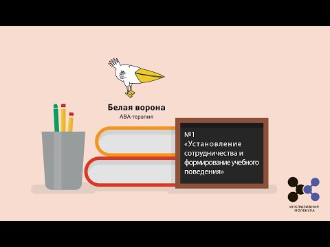 Видео: №1 «Установление сотрудничества и формирование учебного поведения», куратор Литягина Эмилия