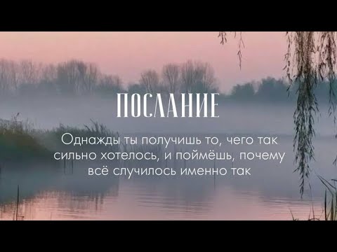 Видео: Верное ли направление вы выбрали?