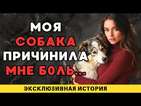 Видео: Собака лучше мужа...