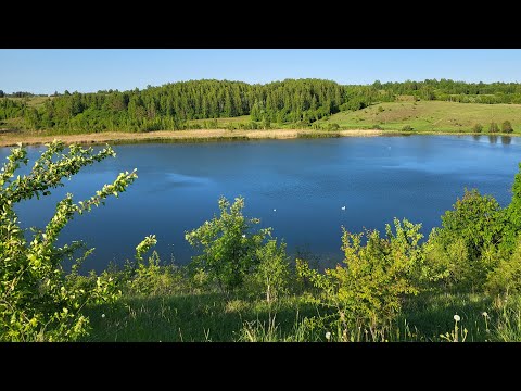 Видео: Велопрогулка 111 км. Псков - Печоры - Изборск