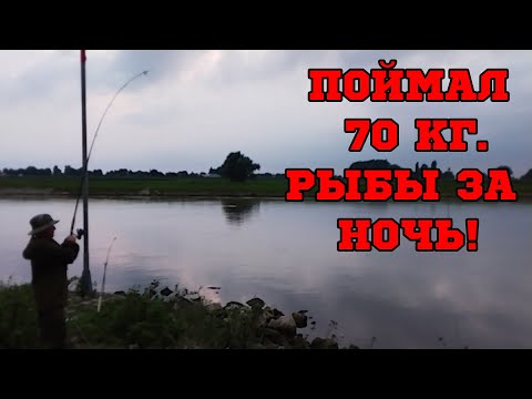 Видео: ПОЙМАЛ 70 КГ. ЛЕЩА ЗА НОЧЬ/ РЫБАЛКА В ГОЛЛАНДИИ