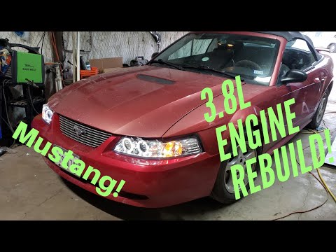 Видео: Ремонт двигателя Ford Mustang! 3.8 л v6