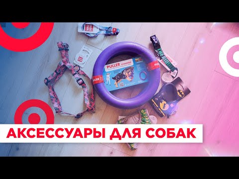 Видео: Аксессуары для собак | ТОП 5 товаров для собак