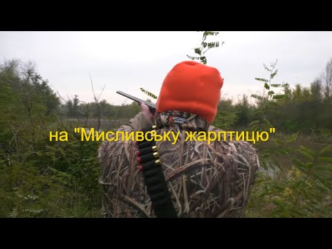 Видео: 🔥🔥🔥 Полювання на фазана Нижні Сірогози | Ни пуха, ни пера!✨