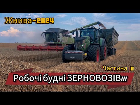 Видео: Розпочалися Жнива 2024 Перша загрузка ріпаком та пшеницею Жнив без дощу не буває