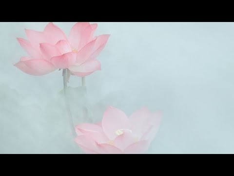 Видео: Основа йоги. Что делает практику йогой?