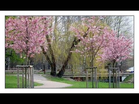 Видео: по волне моей памяти - 2015 год