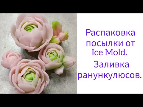 Видео: Распаковка посылки от Ice Mold. Заливка комплекта ранункулюсов.