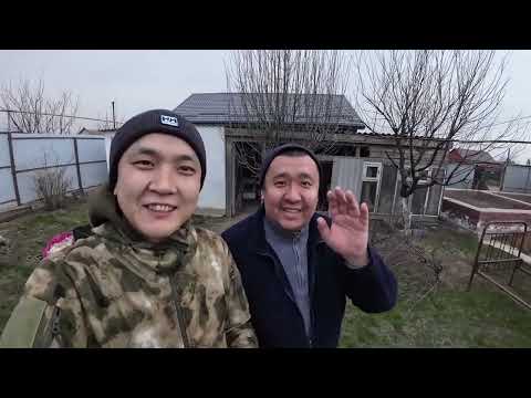 Видео: В гостях у Феликса и Веры Шорваевых.
