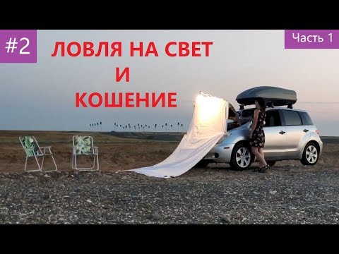 Видео: Энтомология для новичков #2. Методы сбора насекомых. Часть 1