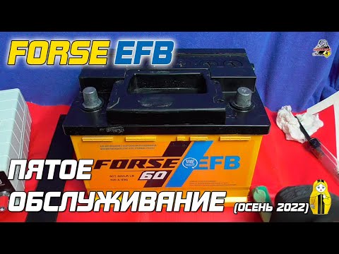 Видео: FORSE EFB - ПЯТОЕ ОБСЛУЖИВАНИЕ (Осень 2022)