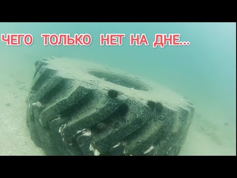 Видео: Богатства японского моря. Дайвинг Приморский край. Жизнь в Приморье, дайвинг.Мидии,устрицы