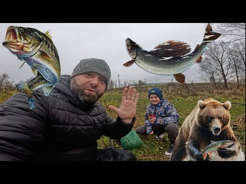 Видео: На Рыбалке не главное поймать, а главное хорошо провести время.