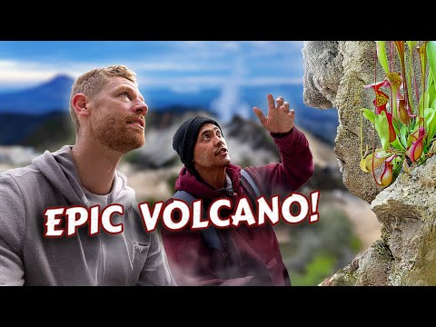 Видео: ЭПИЧЕСКИЙ МИР ВУЛКАНОВ СУМАТРЫ: ПРИЧИНЫ, ДИКОВИНЫ И ГОРОДА-ПРИЗРАКИ