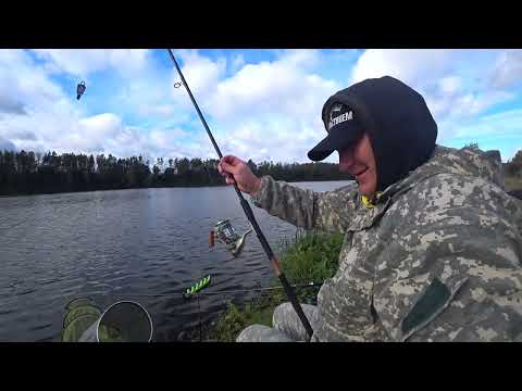 Видео: ЛИНЬ ЧУТЬ НЕ УТАЩИЛ УДОЧКУ! ЛОВЛЯ НА ФИДЕР НА ВОДОХРАНИЛИЩЕ.СЕЗОН ПРОДОЛЖАЕТСЯ!