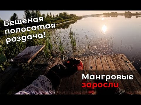 Видео: Рыбалка двух производителей. Умопомрачительный клев с "Навахо "Мормышка" NA43-664MF-S