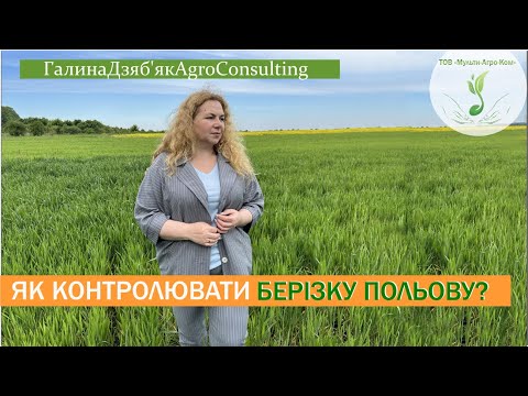 Видео: Берізка польова: які ефективні діючі речовини в посівах різних культур?