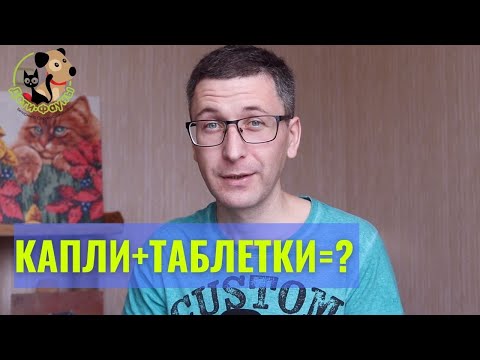 Видео: Как совмещать капли от блох и таблетки от глистов?