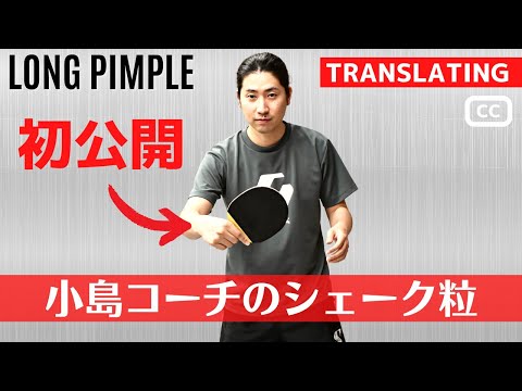 Видео: СИЛЬНЕЙШИЙ! Shakehand Long Pimple в Японии [Настольный теннис]