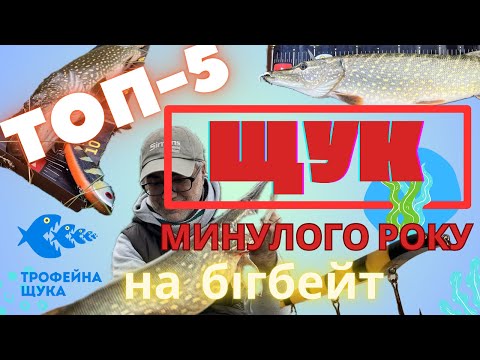 Видео: ТОП 5. Щуки минулого року на бігбейт. Яки приманки працювали краще. Джеркбейти ловлять.
