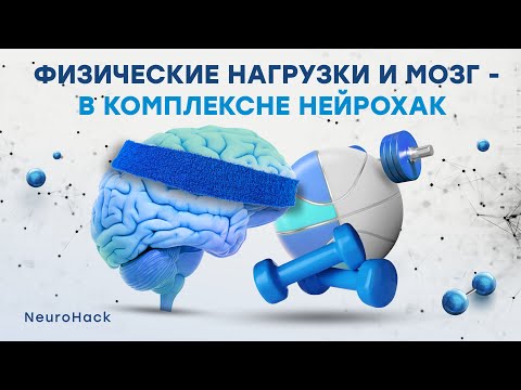 Видео: Физическая активность и мозг