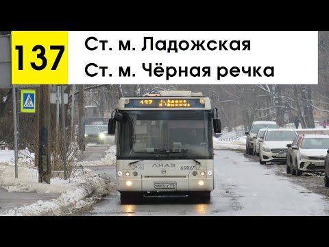 Видео: Автобус 137 "Ст. м. "Чёрная речка" - ст. м. "Ладожская"