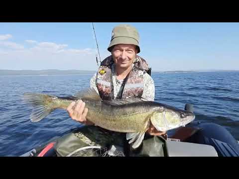 Видео: Трофейная рыбалка на озере Аргази Челябинская область