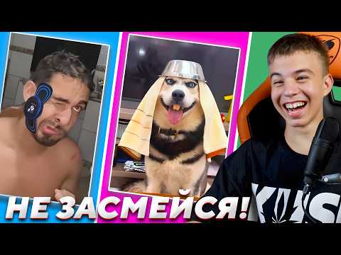 Видео: 😂 СПОРИМ ТЫ БУДЕШЬ СМЕЯТЬСЯ? ➢ НЕ ЗАСМЕЙСЯ ЧЕЛЕНДЖ или МАМИНА ПОДБОРКА 47