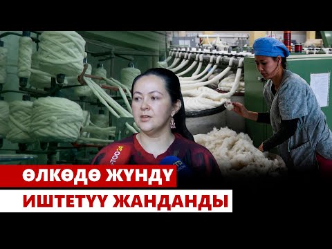 Видео: Жүндү кайра иштетүү жанданды