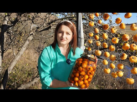 Видео: ԶԿԵՌԻ ԹԹՈՒ՞,Ով Տեսած Չի Թող Տենա - Германская Мушмула - Mespilus Germanica Շամշադինի Համը - Шамшадин