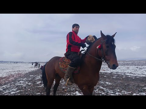 Видео: Маъракаи бузкаши дар нохияи Точикобод чамоати Ширинчашма. 27.02.2025.