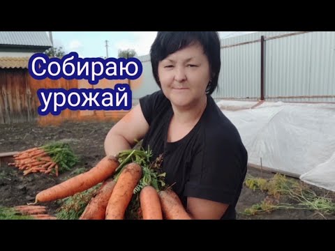 Видео: Любимый Балтимор снова на высоте! Канада удивила😳