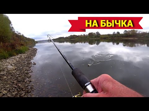 Видео: ЖИВЦОВАЯ СНАСТЬ ВЫРУЧАЕТ. Рыбалка на ОКЕ поздней осенью.