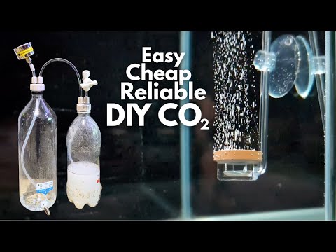 Видео: Лучший самодельный генератор CO2 для вашего аквариума с растениями