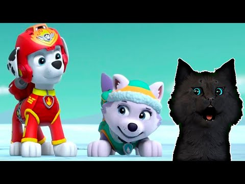 Видео: СУПЕР КОТ И СУПЕР СОБАКИ СПАСАЕМ ОБЕЗЬЯНКУ МЭНДИ ИЗ ВУЛКАНА #6 🐱 Mighty Pups Save Adventure Bay #231