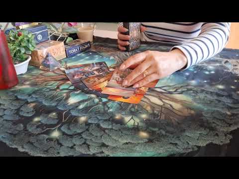 Видео: Ситуацията ви през погледа на партньора 