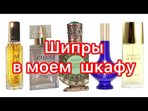 Видео: По вашим просьбам! ШИПРЫ / Бюджетная парфюмерия.