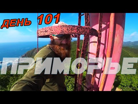 Видео: Морская капуста с грибами в бухте Спокойная, Приморский край, Находка. Приморье красивые места.