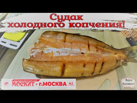 Видео: СУДАК ХОЛОДНОГО КОПЧЕНИЯ / В КОПТИЛЬНЕ ОТ КОМПАНИИ "МОСКИТ" /