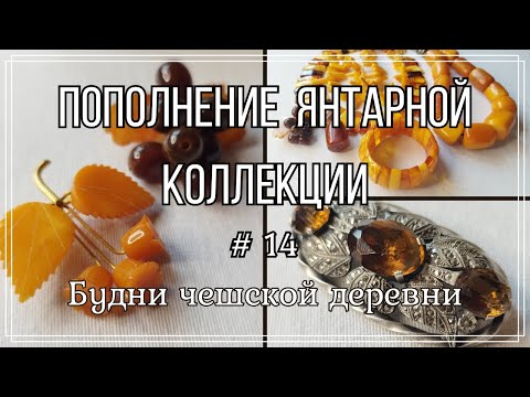 Видео: #14 Янтарь \Пополнение коллекции \  Старая брошь  \ Будни чешской деревни   #чешскаябижутерия