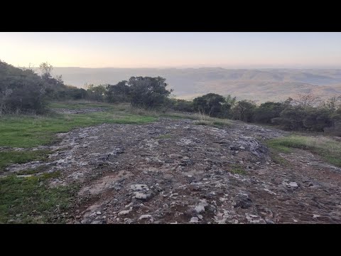 Видео: Бродилово -  Недостъпния вр. Папия с тракийско светилище и крепост /2024/