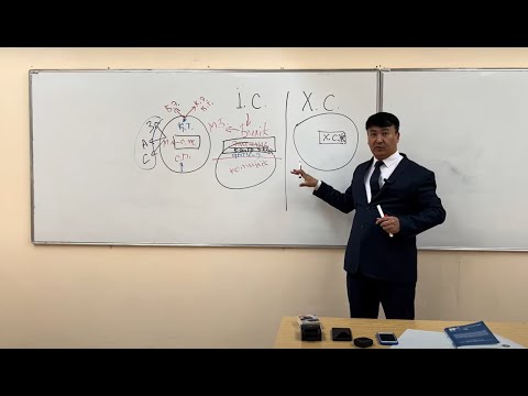 Видео: Элита:  Неомакиавеллистік тұжырымдама