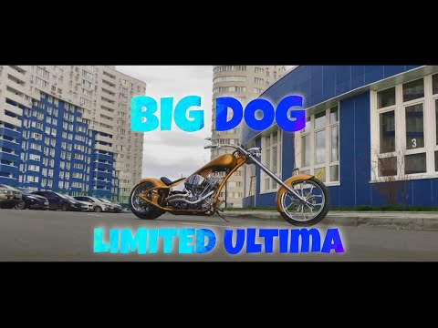 Видео: Легендарный Big Dog