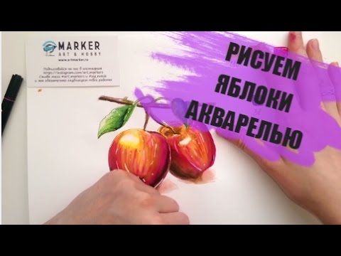 Видео: Уроки рисования акварельными маркерами - Рисуем реалистичные яблоки акварелью