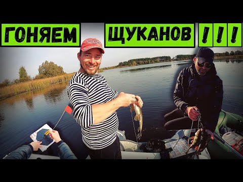 Видео: Щука и окунь атакуют | Рыбалка осенью 2023