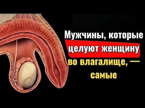 Видео: Всем пожилым людям стоит посмотреть это видео Стоицизм